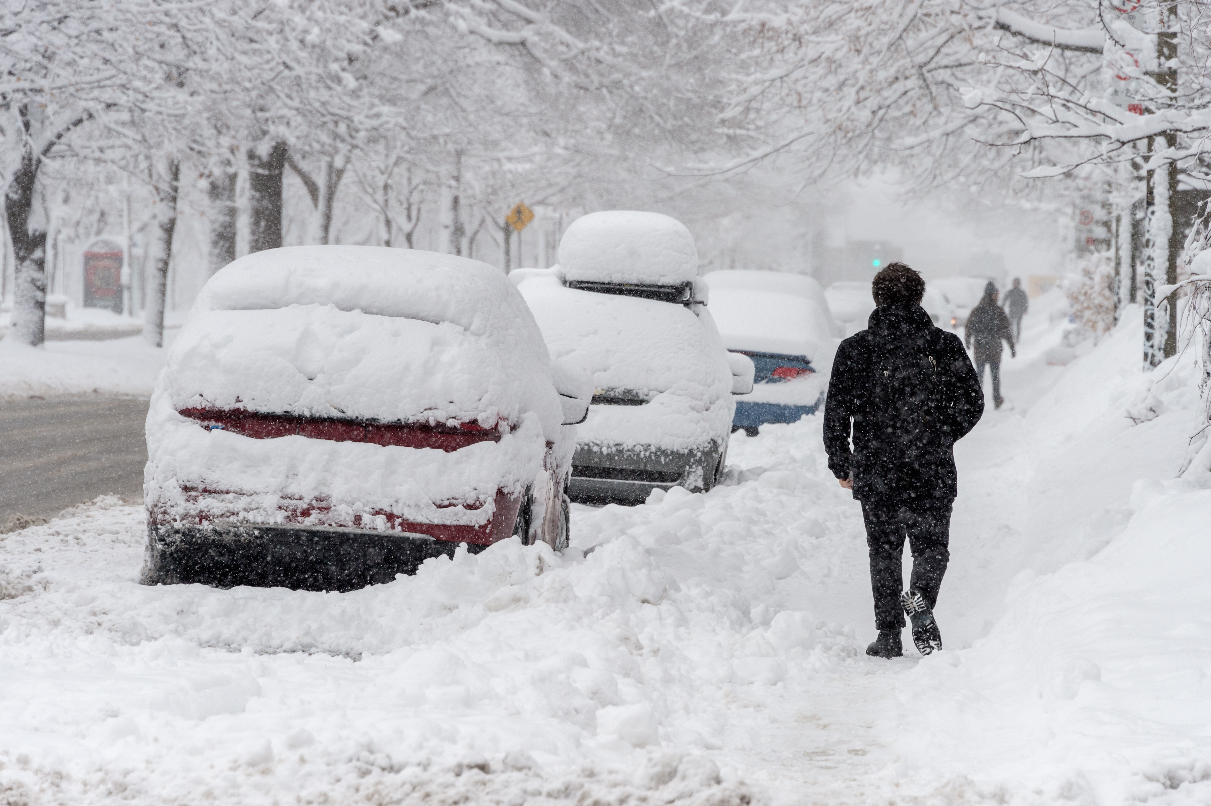 Une rue résidentielle, des trottoirs et des voitures garées sont recouverts de neige. Un homme marche sur un trottoir enneigé.  
