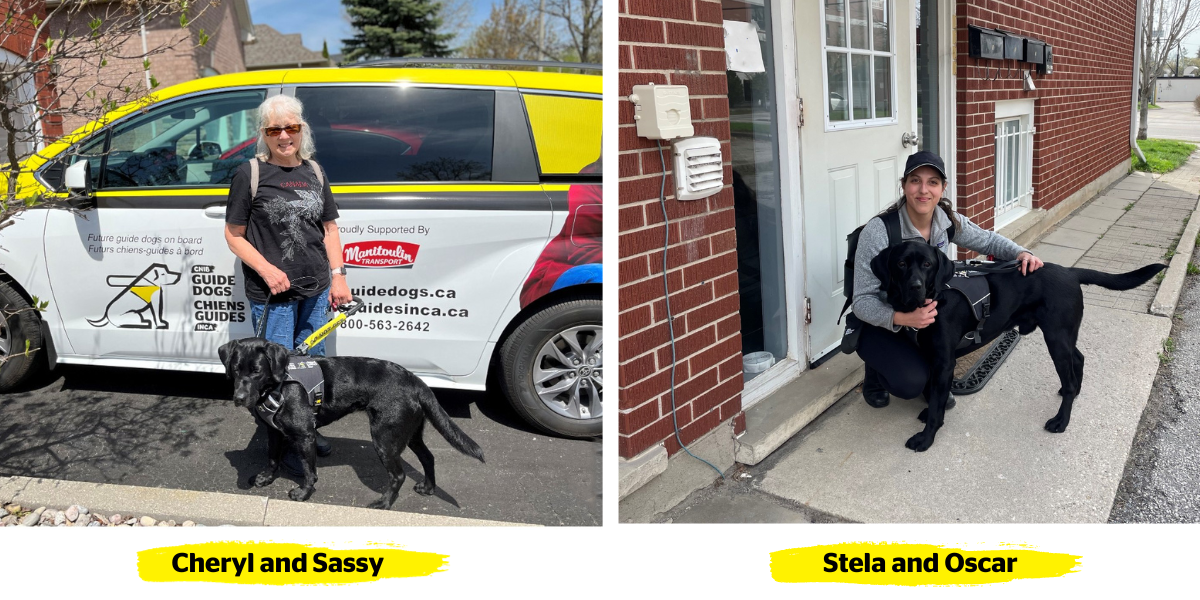 Left: Cheryl and Sassy. Cheryl stands in an outdoor driveway with Sassy, a black lab in harness. Behind Cheryl is a CNIB Guide Dogs branded vehicle. Right: Stela and Oscar. Outside an apartment building, Stela kneels on the ground next to her guide dog, Oscar. Stela smiles and has her arm around Oscar, a black lab in harness. 