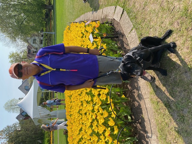 Blair and his black guide dog, Kelly, are outdoors standing on a patch of grass. Kelly is in harness and Blair is holding the harness handle.