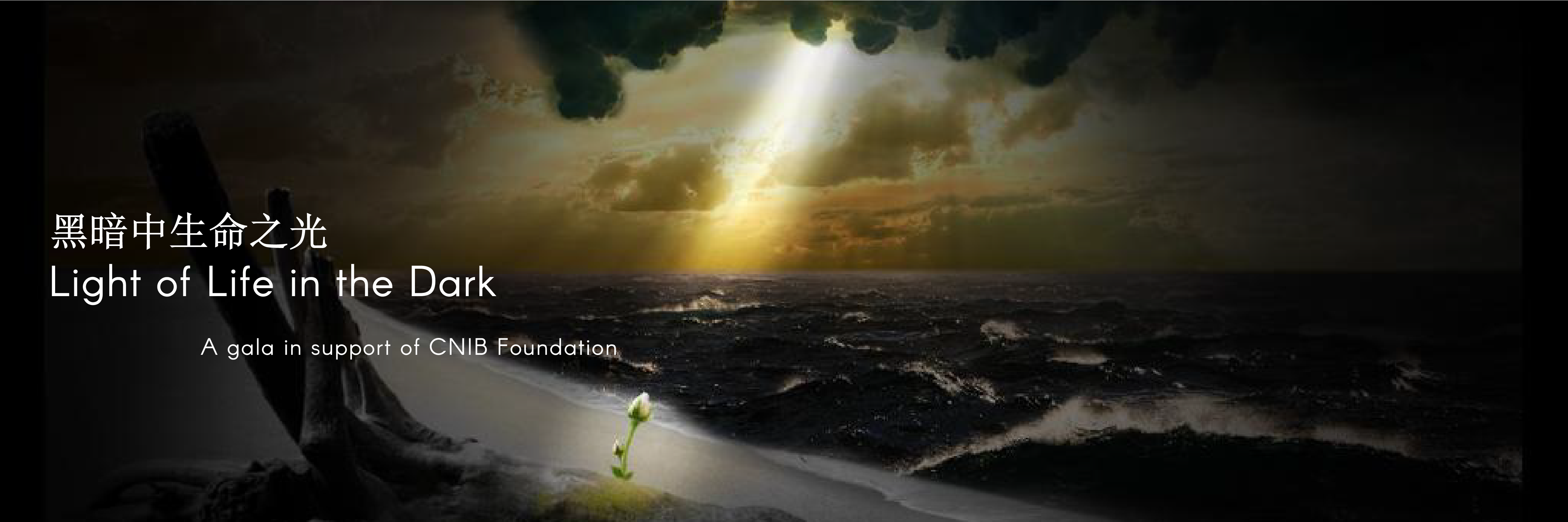 media image  for light of lifein the dark