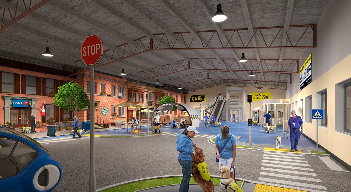 Canine Campus virtual city, showing CNIB branded buildings, dogs and handlers, cars pulling in and out