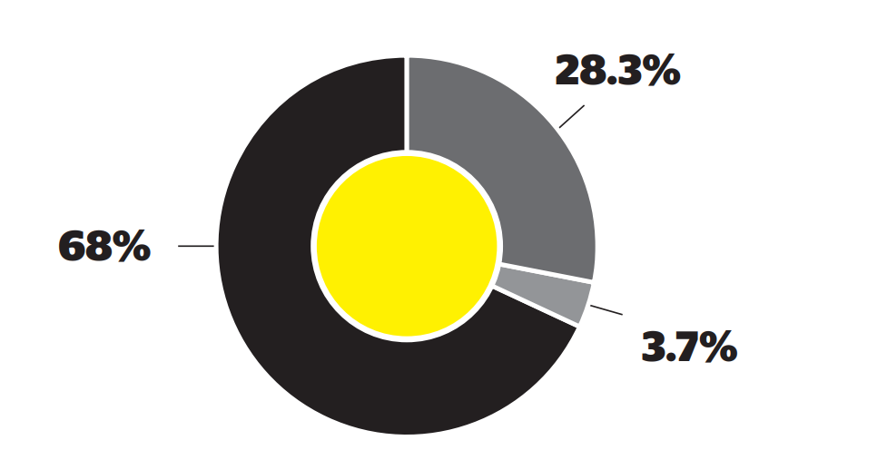 Pie chart graph showing Program Costs at 68%, Operations cost at 28.3%, Travel and Miscellaneous costs 3.7%