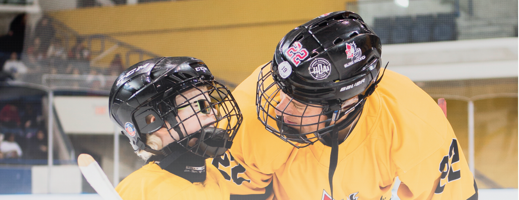 A hockey player and coach on the ice talking and working together 