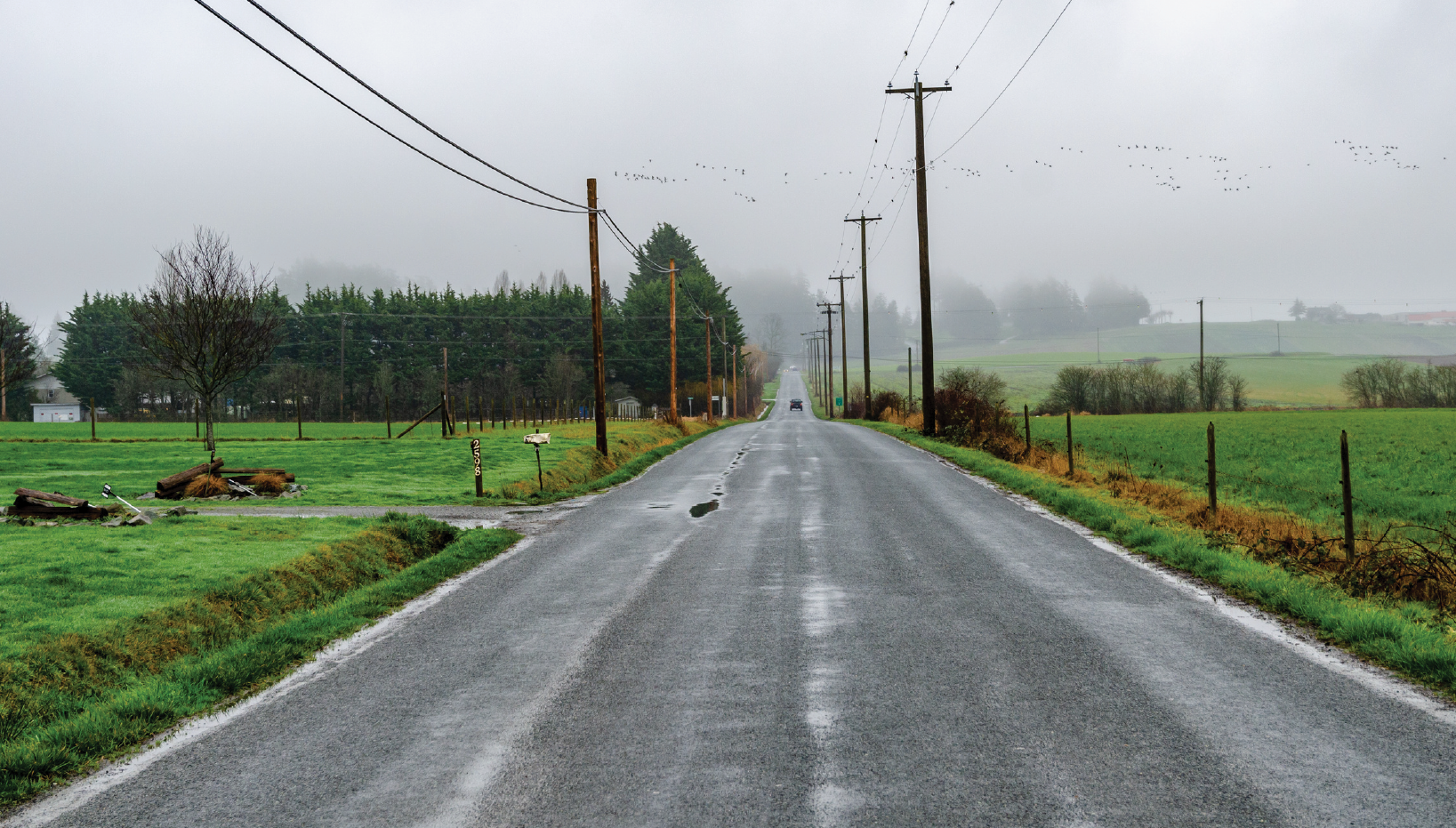 A long, straight rural road stretching into the distance. It's a foggy day and there are puddles on the surface of the road. On either side of the road, there are grass fields, trees and power lines. 