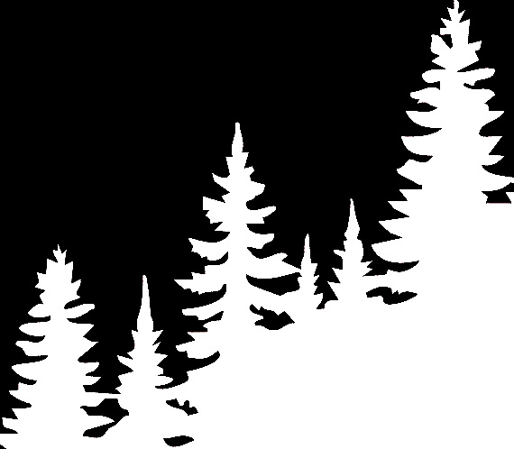Pine trees silhouetted in white against a black background