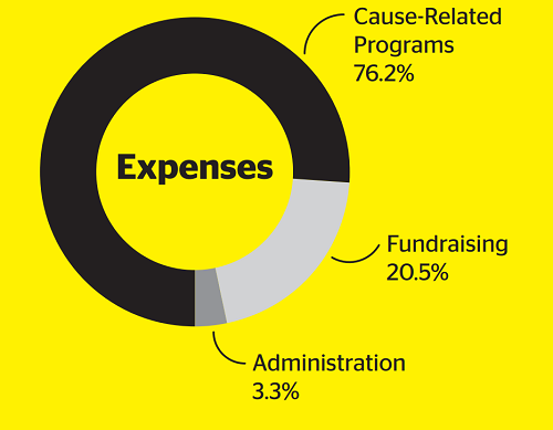Pie chart showing expenses: Cause-Related Programs 76.2%, Fundraising 20.5%, Administration 3.3%