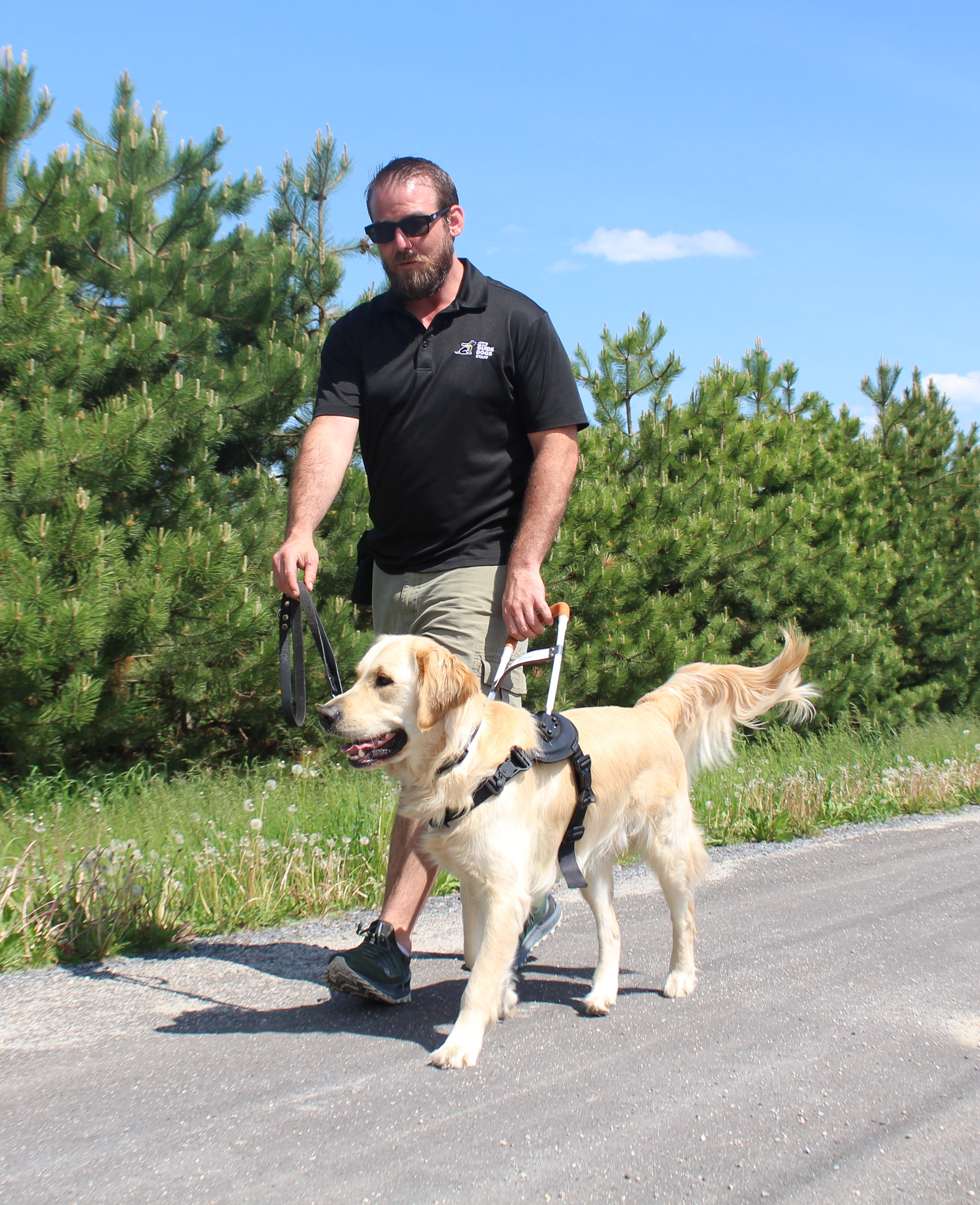 : Rob walking down the road on a sunny day, holding onto the harness of Cody, a CNIB Guide Dog.