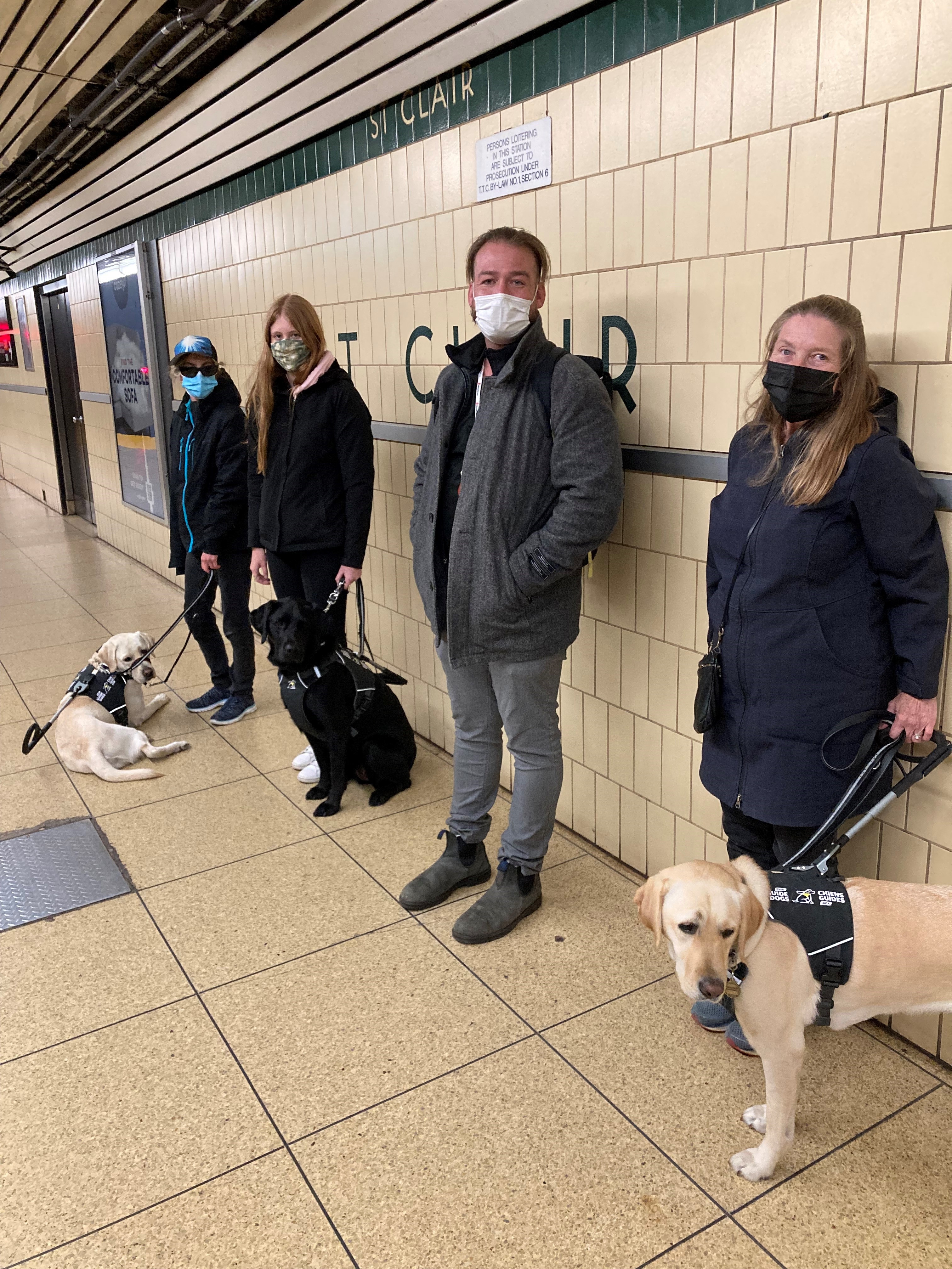 Quatre personnes accompagnées de leurs chiens-guides se tiennent contre un mur à un arrêt du métro souterrain de Toronto.