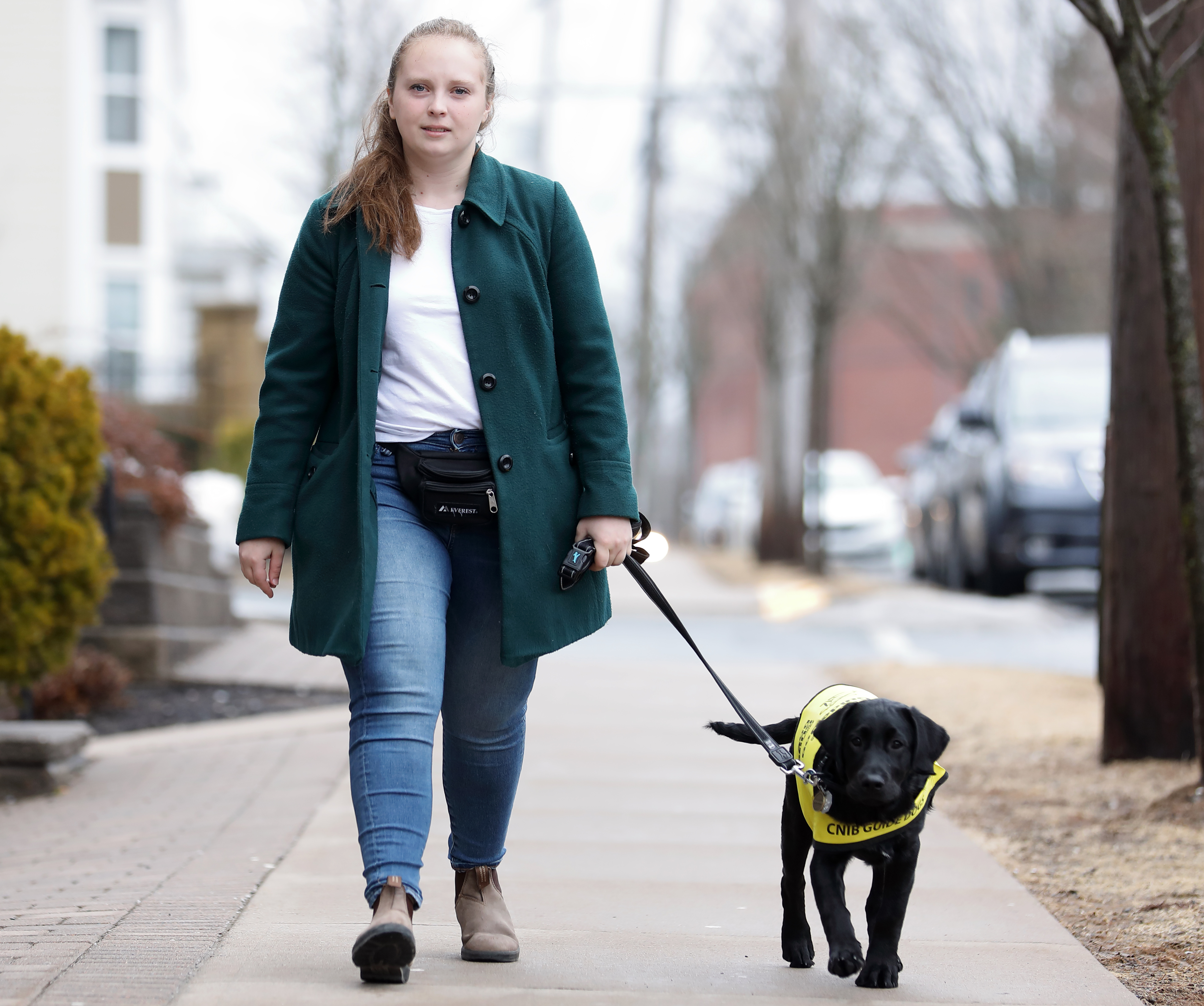 Maja marche sur un trottoir en direction de l'appareil photo, tenant la laisse de Lily qui marche à ses côtés; Lily est jeune labrador noire croisée golden retriever, portant un gilet jaune vif de futur chien-guide