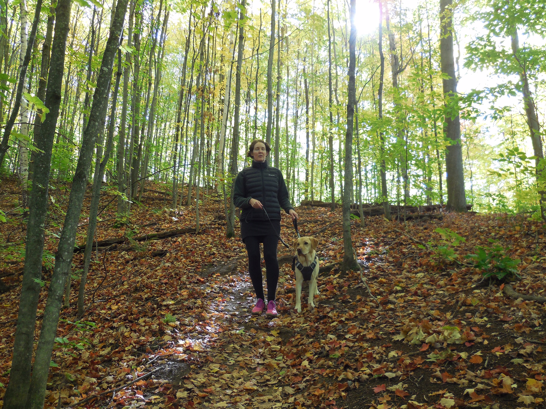 Marie-Clair and Rhonda, walking through a lush, green forest – the ground covered with colourful autumn leaves.