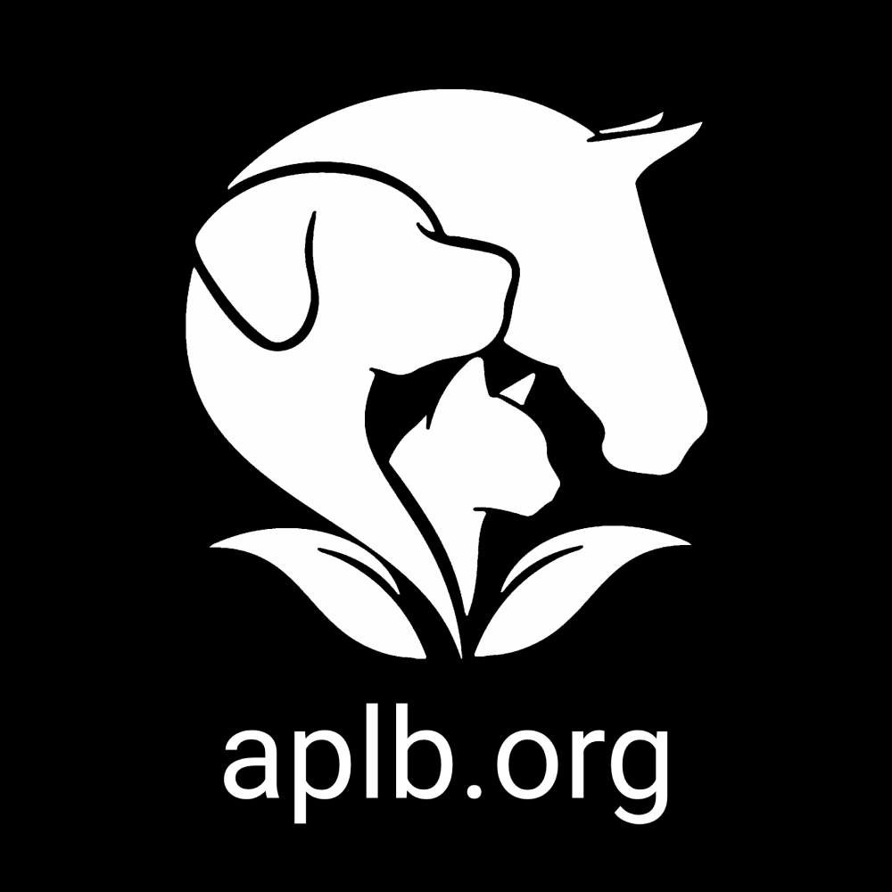 Association for pet loss and bereavement