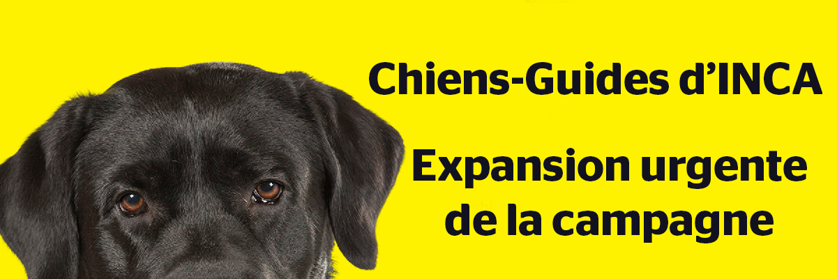 Bannière jaune avec un labrador noir et les mots Chien-Guides d'INCA, expansion urgente de la campagne