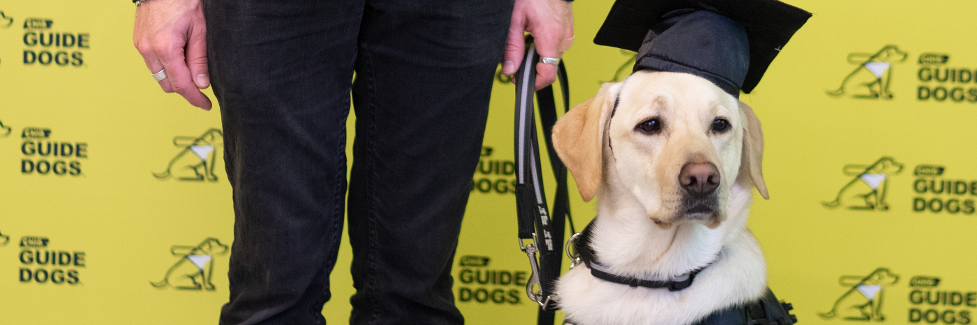 A yellow Labrador-Retriever CNIB Guide Dog attending her graduation, wearing a harness and mortarboard graduation cap. Her handler’s hand is in the frame holding her leash