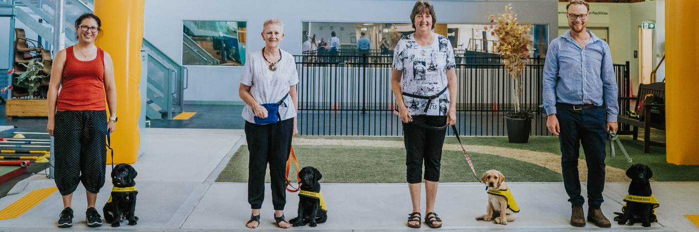 Four future CNIB Guide Dogs being raised in Australia from left to right: Rex, Harley, Bridget and Oscar, sitting next to their volunteer puppy carers.