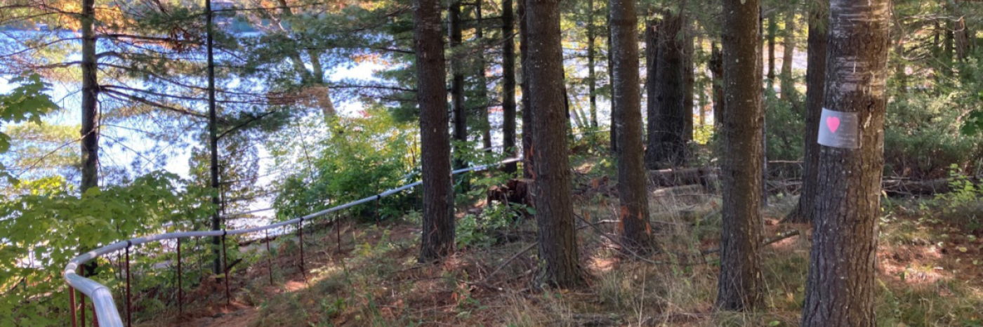 A scavenger hunt clue is posted on a tree at the CNIB Lake Joe nature trail. 