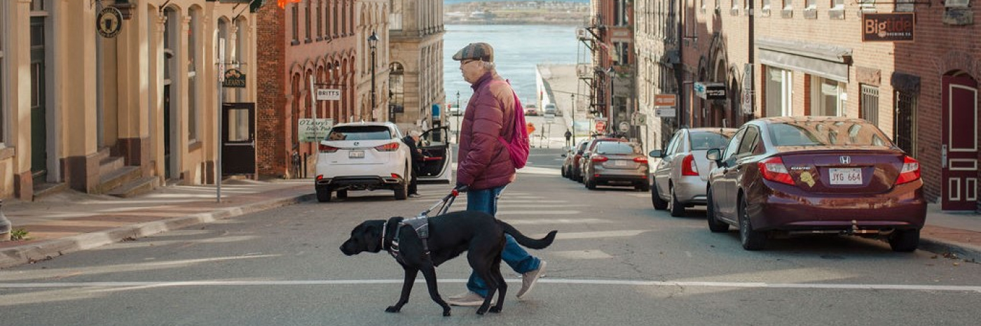 Blair crosses the street with his CNIB guide dog, Kelly, a black Labrador retriever.