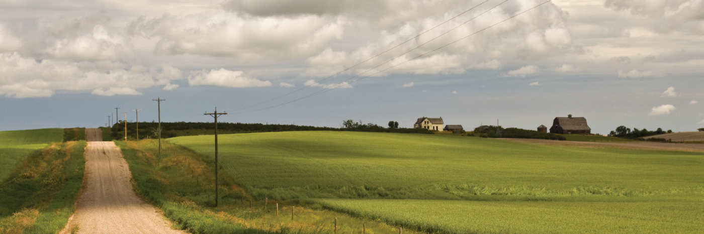 A gravel road cuts through a lush farm area in rural Canada. It’s an overcast day, and the clouds are low hanging. In the distance, a farmhouse appears.