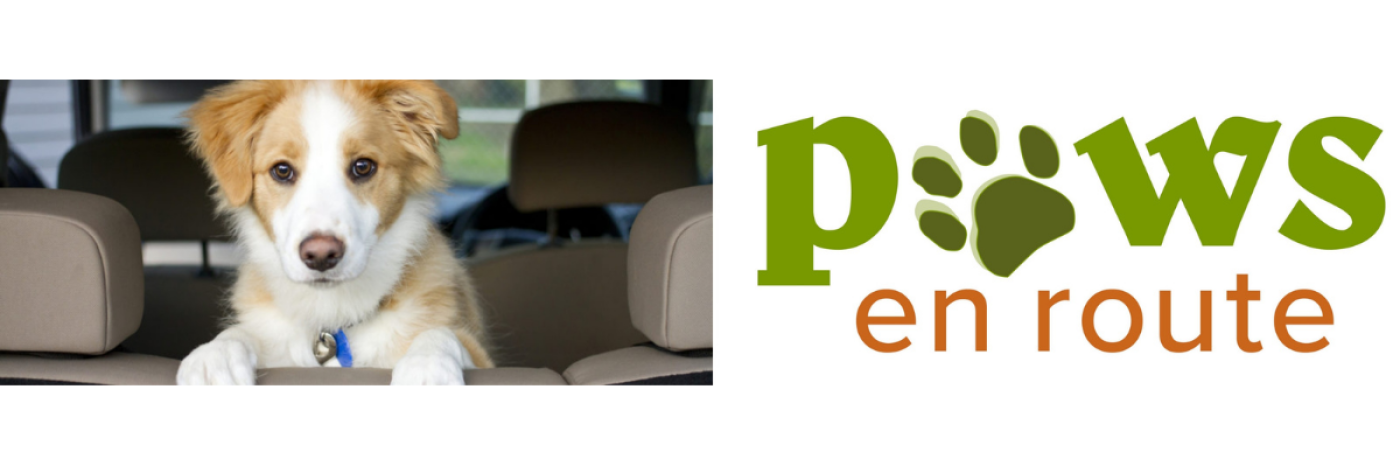 Dog sitting in a car beside the “Paws en route” logo, which features a pawprint instead of the letter “a” 