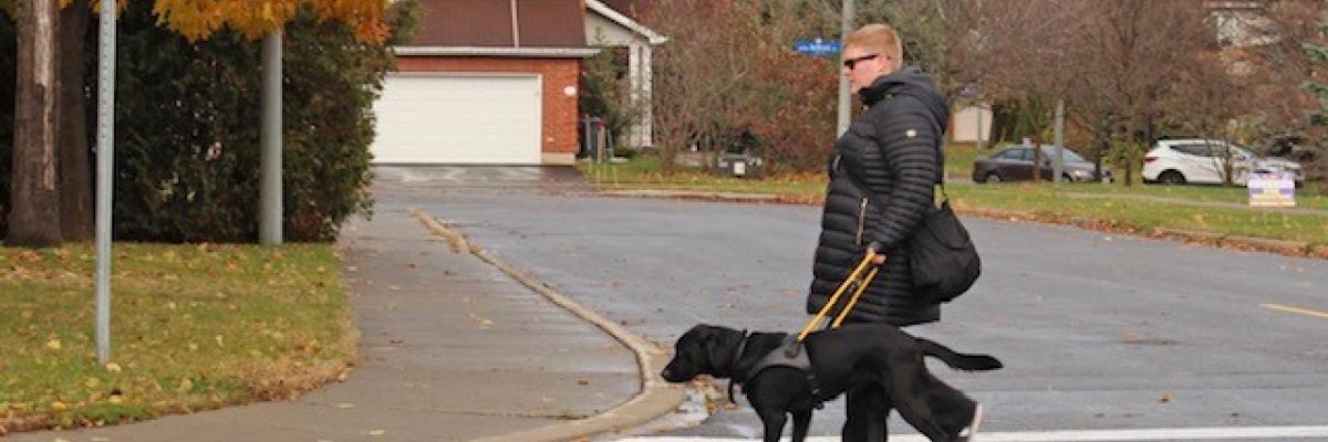Photo of Ashley and her guide dog Danson walking in a crosswalk on a cloudy day. 