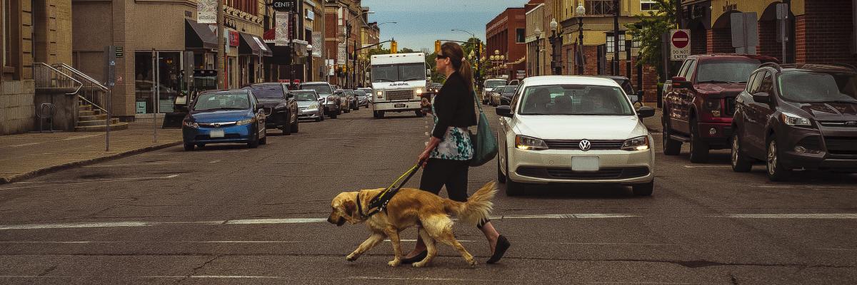Larissa and her guide dog Piper walking in a crosswalk across a busy street. 