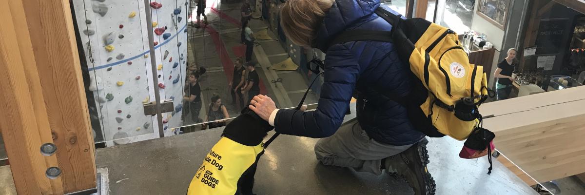 A black Labrador retriever puppy wearing a bright yellow Future Guide Dog vest sitting in front of a glass railing overlooking a rock-climbing facility, with his puppy raiser kneeling beside him and petting his head