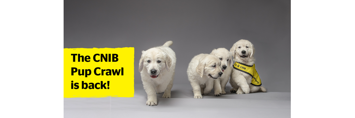 Several future guide dog puppies pose together for a photo. One of the puppies is wearing a yellow CNIB Guide Dogs vest. The text, “The CNIB Pup Crawl is back!” appears on top of the image.