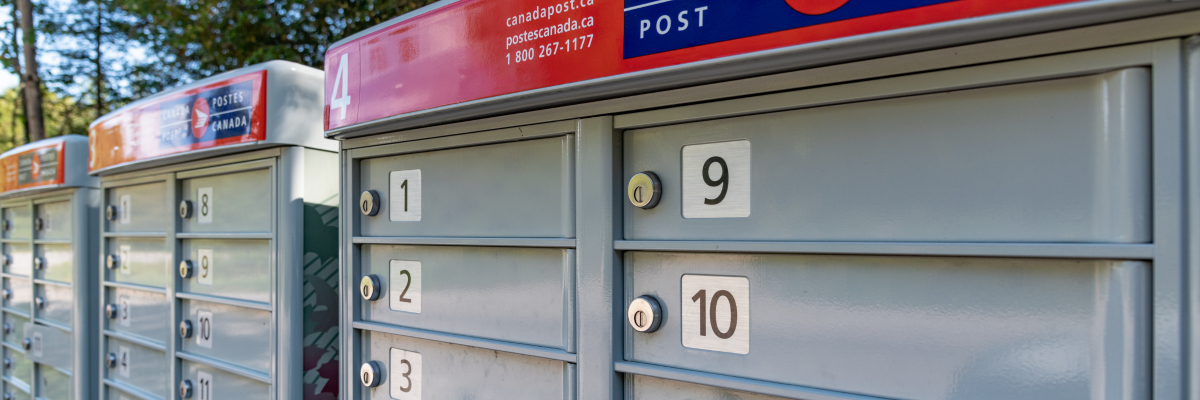 Three outdoor Canada Post community mailboxes with a tree in the background.