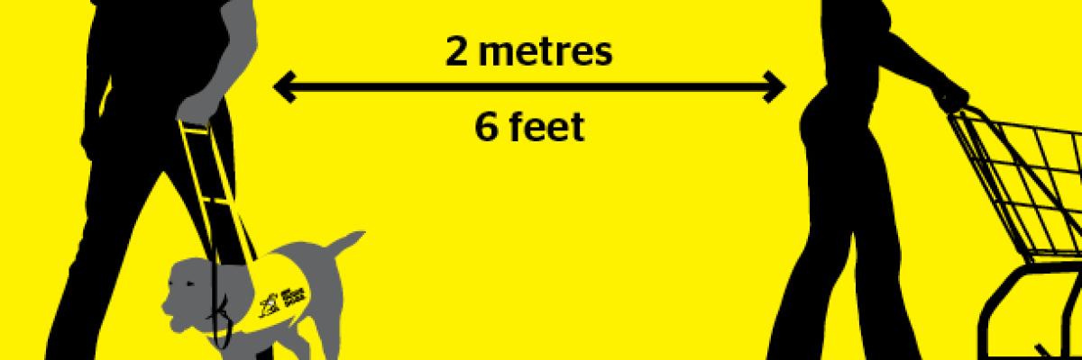 Guide Dogs don't understand physical distancing. Please help us keep a safe distance. 