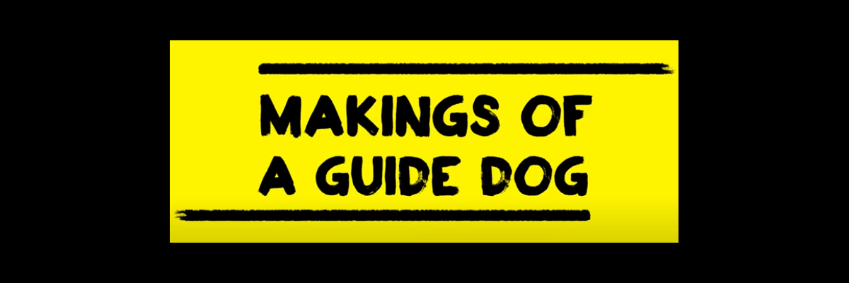 A yellow wallpaper featuring text outlined in a black paintbrush style design. Text: Makings of a Guide Dog.