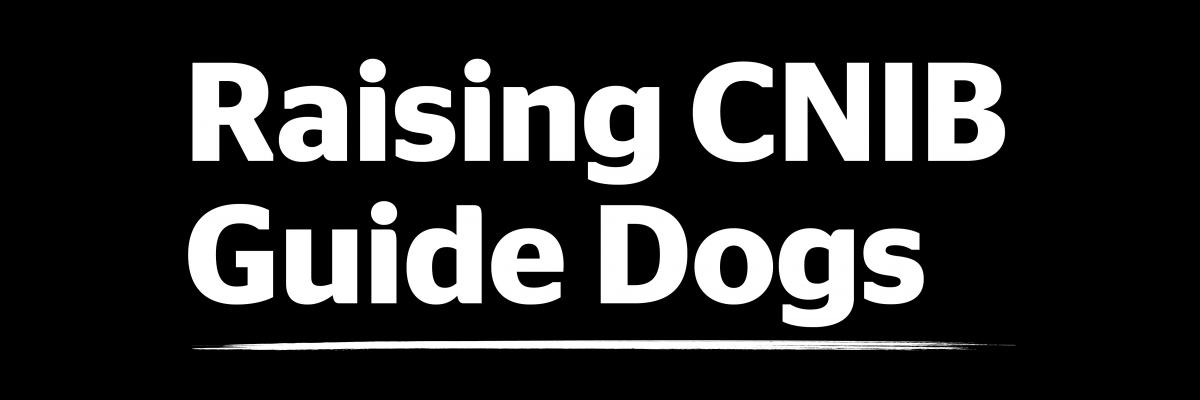 Raising CNIB Guide Dogs