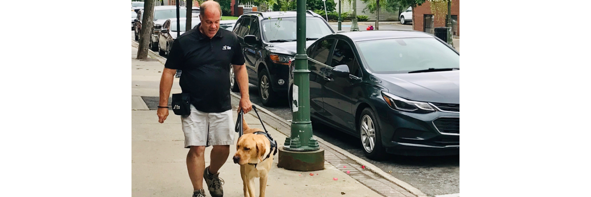 Carl walking down a sidewalk with a CNIB Guide Dog in training.