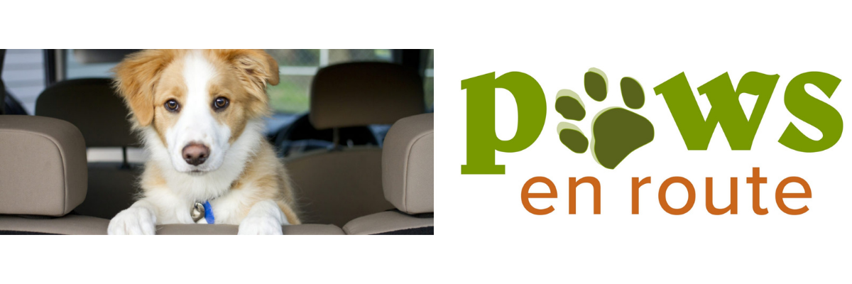 Dog sitting in a car beside the “Paws en route” logo, which features a pawprint instead of the letter “a” 