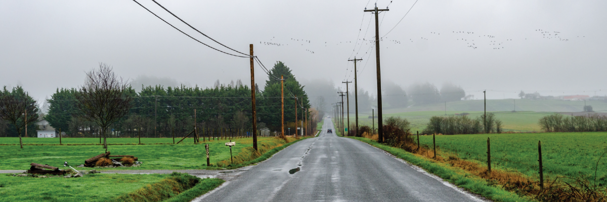 A long, straight rural road stretching into the distance. It's a foggy day and there are puddles on the surface of the road. On either side of the road, there are grass fields, trees and power lines. 