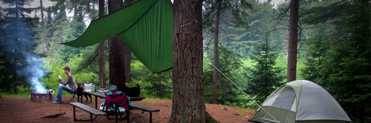 A campsite with a tent, picnic table with shade, campfire nestled among tall trees. 