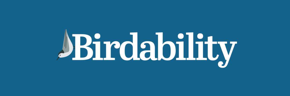 Birdability logo. An illustration of a white and grey bird, followed by the text: Birdability. The bird is sitting vertically, scaling the letter "B."