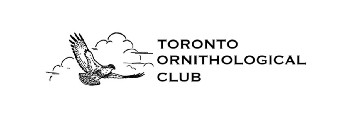 Toronto Ornithological Club logo. An illustration of a bird flying in the clouds. Text: Toronto Ornithological Club 
