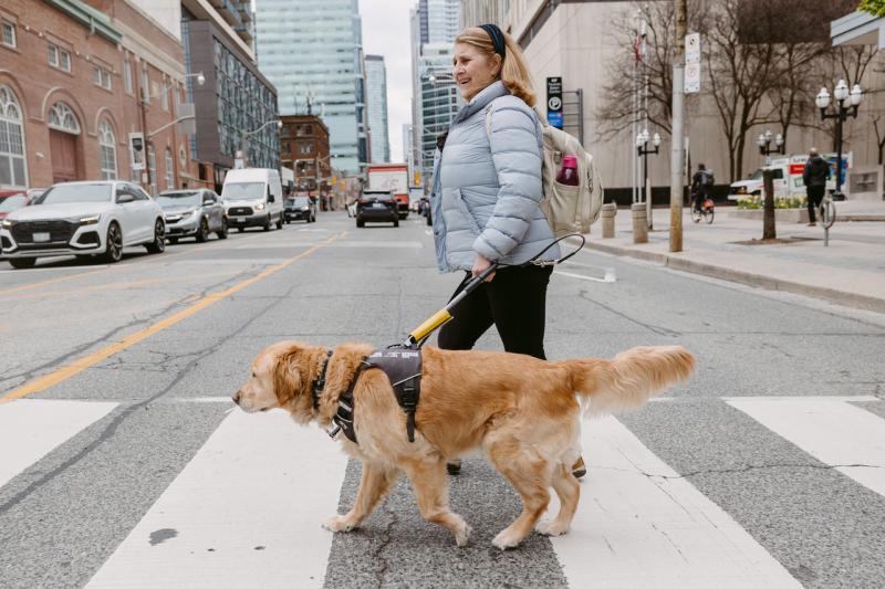 Lindsay and her guide dog Charles, a golden retriever, crossing a busy Toronto street.
