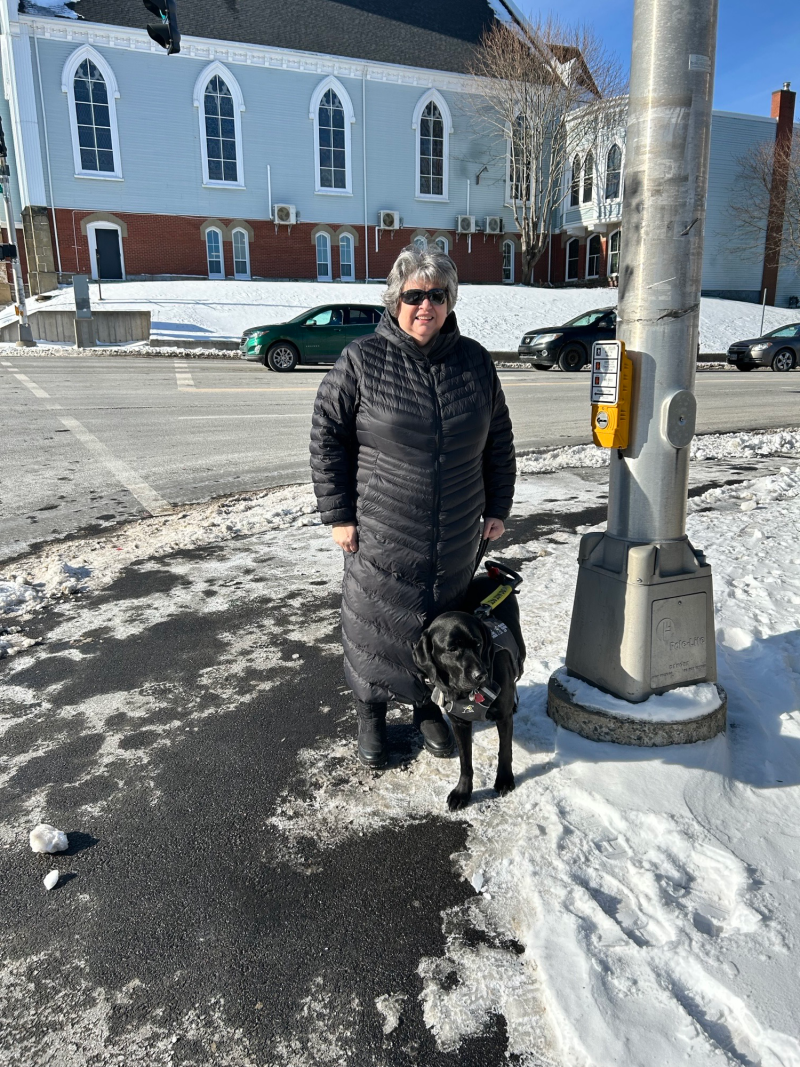 Marisa and her guide dog, a black lab named Harley, are out on a sunny winter day standing at a crosswalk next to a traffic utility pole that includes a new APS system.
