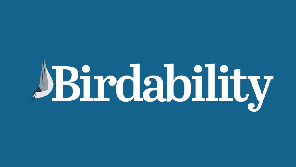Birdability logo. An illustration of a white and grey bird, followed by the text: Birdability. The bird is sitting vertically, scaling the letter "B."