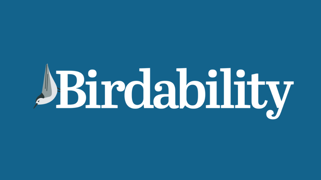 Birdability logo. An illustration of a white and grey bird, followed by the text: Birdability. The bird is sitting vertically, scaling the letter "B."