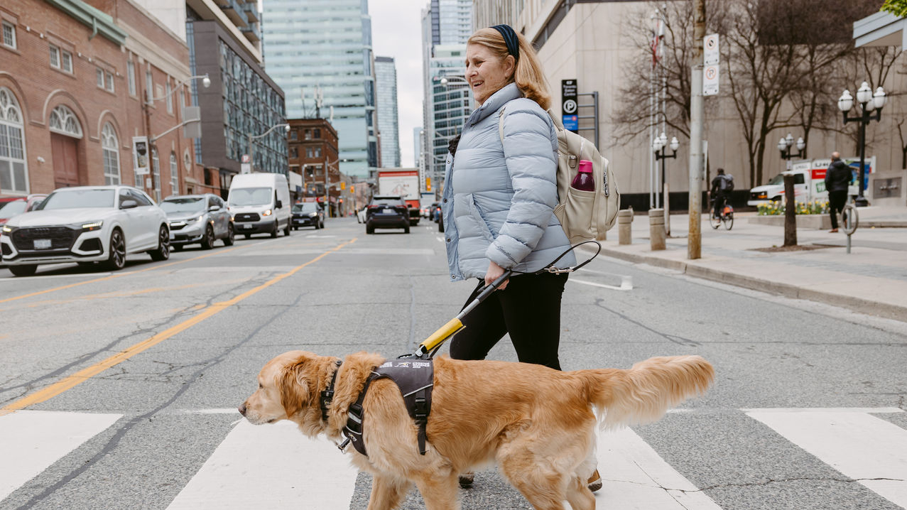 Lindsay and her guide dog Charles, a golden retriever, crossing a busy Toronto street.