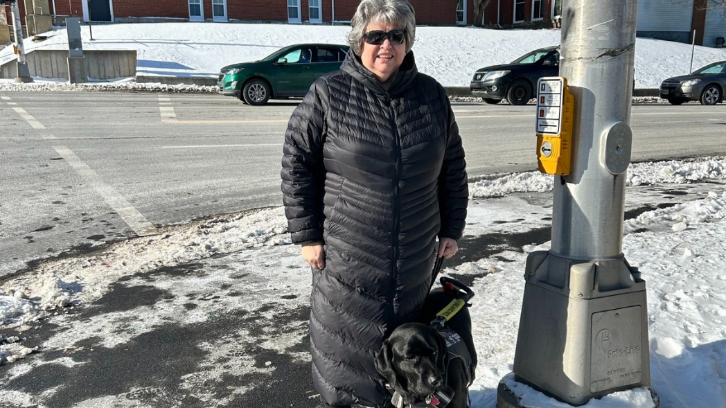 Marisa and her guide dog, a black lab named Harley, are out on a sunny winter day standing at a crosswalk next to a traffic utility pole that includes a new APS system.