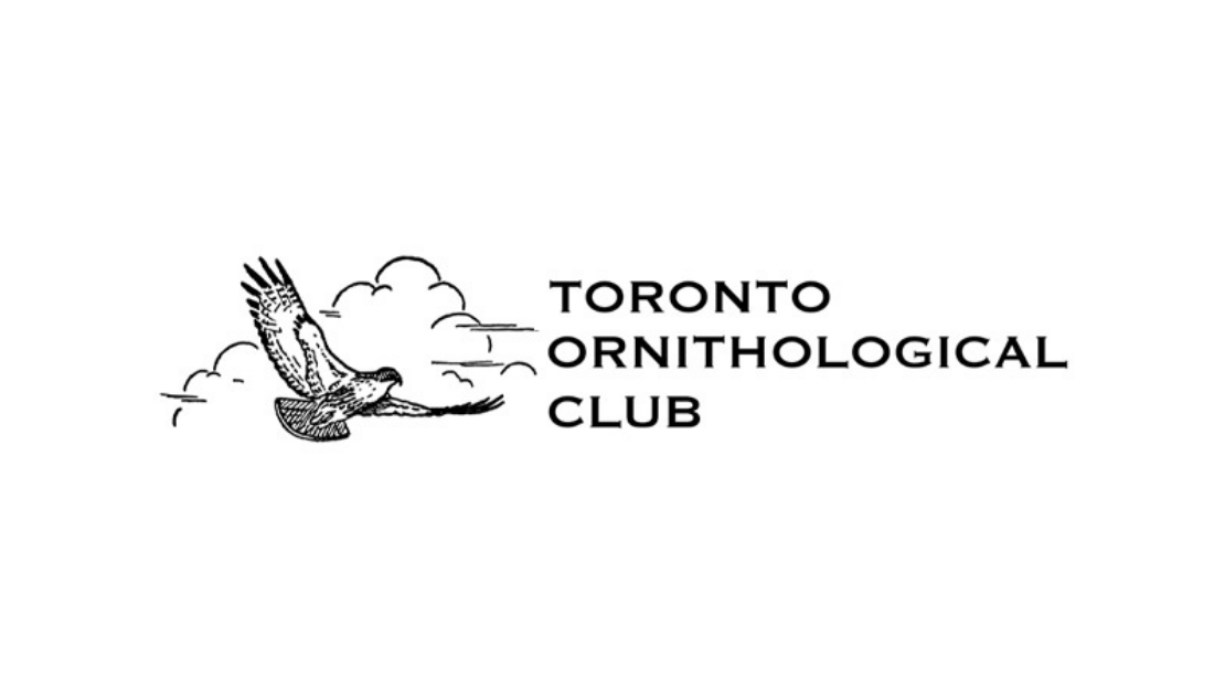 Toronto Ornithological Club logo. An illustration of a bird flying in the clouds. Text: Toronto Ornithological Club 