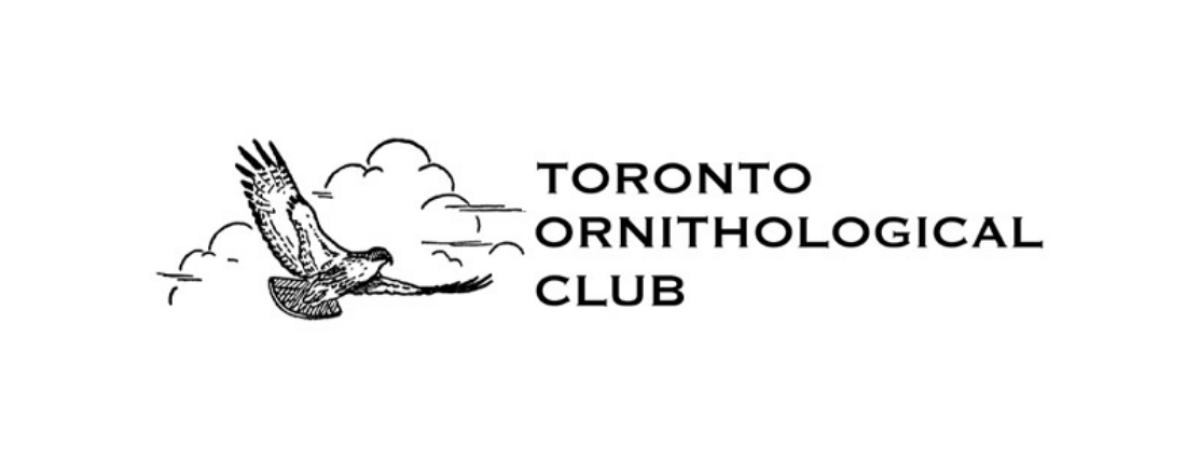 Toronto Ornithological Club logo. An illustration of a bird flying in the clouds. Text: Toronto Ornithological Club 