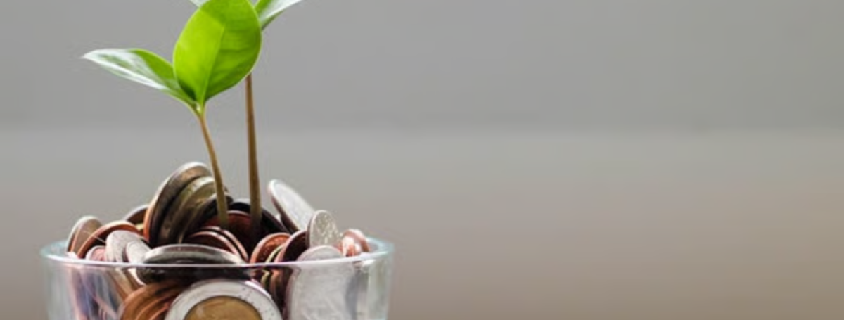 A glass jar of coins with a fake plant sprouting from the jar. 