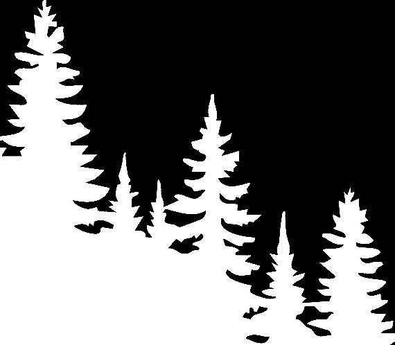 Silhouetted pine trees in white against a black background