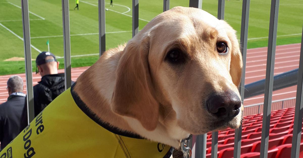 How To Use Ramp Test Pattern