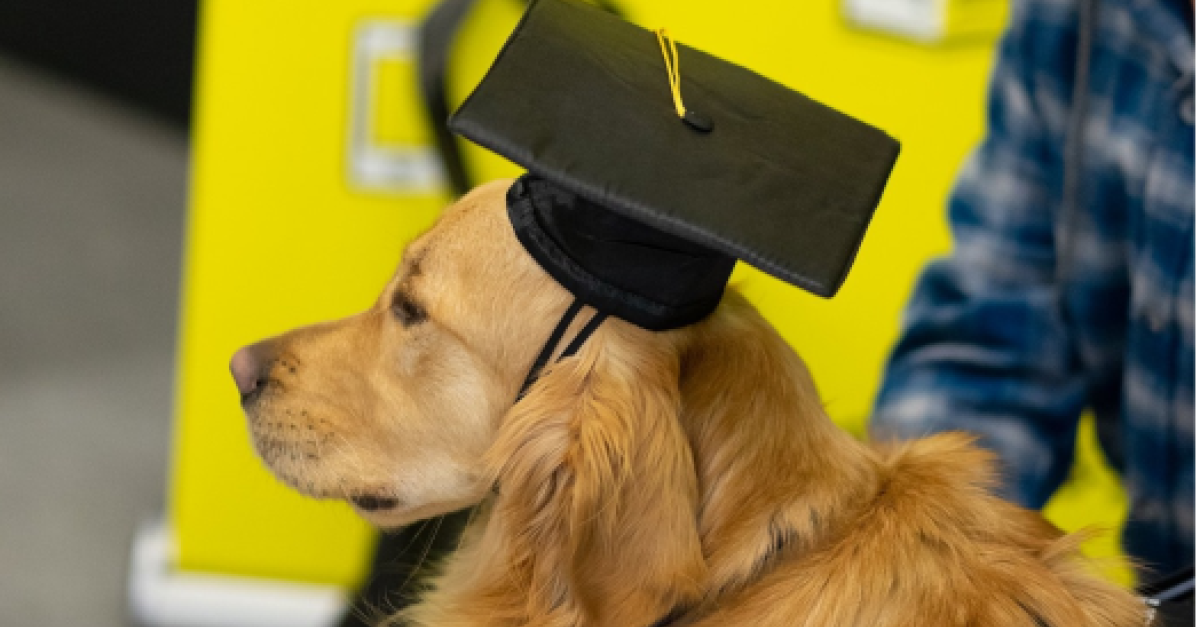 CNIB Guide Dogs' class of 2022 graduates on International Guide Dog Day