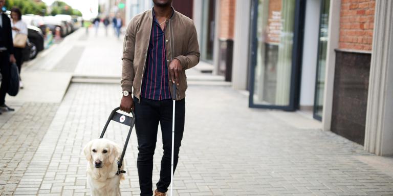 A young man walks down a city sidewalk alongside his guide dog in harness.