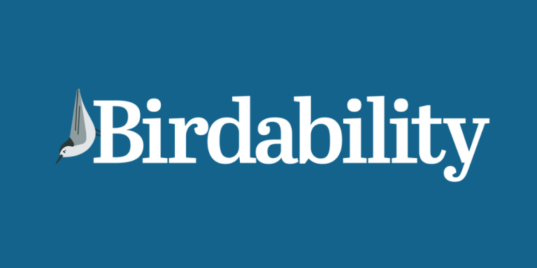 Birdability logo. An illustration of a white and grey bird, followed by the text: Birdability. The bird is sitting vertically, scaling the letter "B."